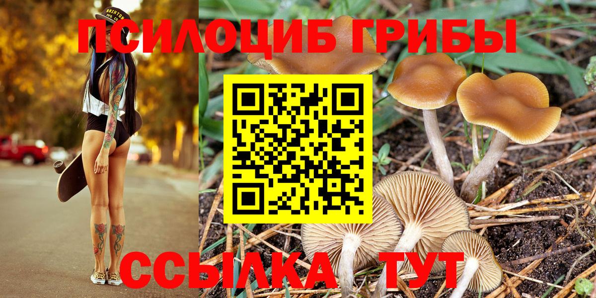 Галлюциногенные грибы Cubensis  Вход с VPN  Кунгур 