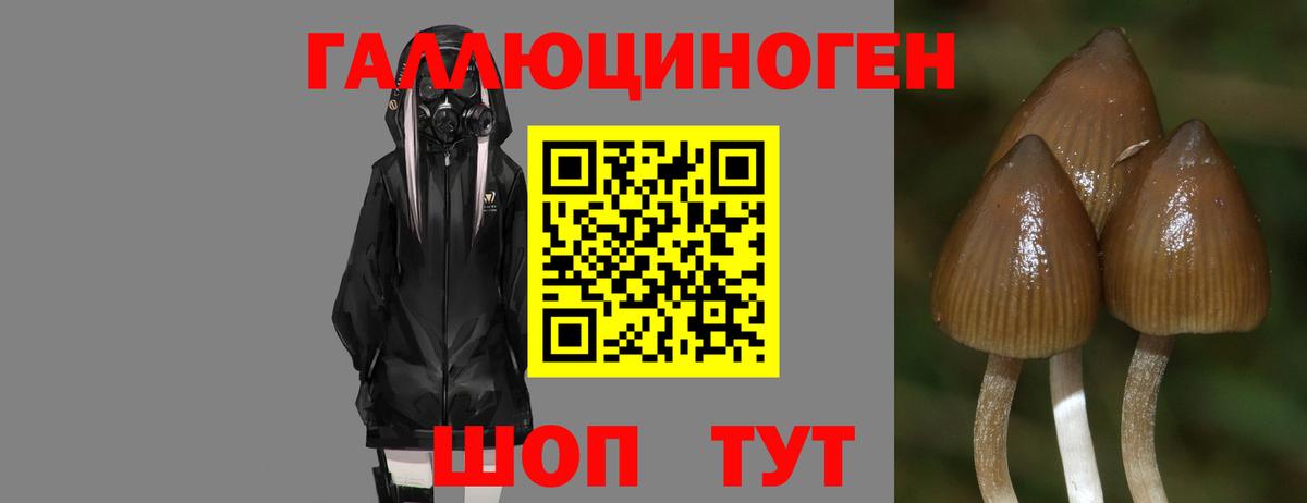 Гашиш Кунгур